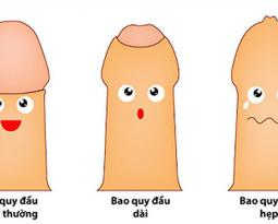 hep-bao-quy-dau-va-nhung-dieu-can-biet