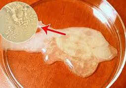 top-5-dia-chi-xet-nghiem-tinh-dich-do-chinh-xac-tai-ha-noi