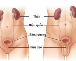 viem-nieu-dao-o-nam-va-nu-nhung-dieu-khong-nen-bo-qua