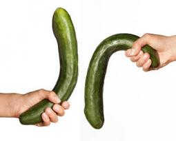 duong-vat-khong-cuong